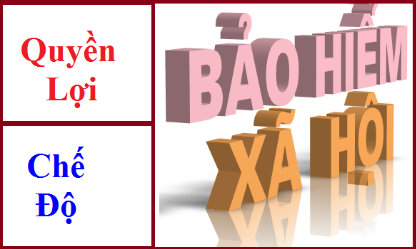 Chốt sổ BHXH, báo giảm lao động chỉ với 800.000đ