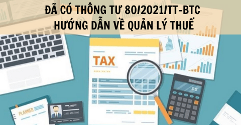 Thông tư 80 và Nghị định 126: Hướng dẫn Luật Quản lý thuế